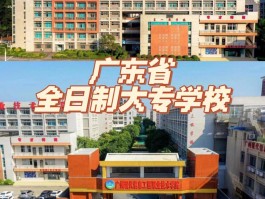全日制学历教育详解-深职训学校来解答(职业培训)