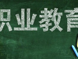 网络教育的含金量：深职训学校的解答(教育质量)