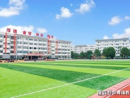 深职训学校：全面解析成人高考所需准备的资料(备考资料)