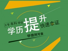 提升学历新途径：深职训学校助您实现职业梦想(职业教育)