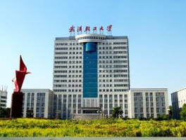 专升本之路：深职训学校如何化解挑战(专升本)